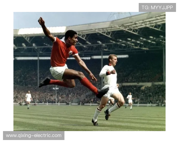 198cm足球明星的传奇之路与巅峰时刻揭秘